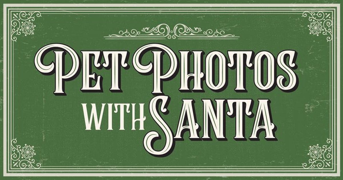 pet photos with santa